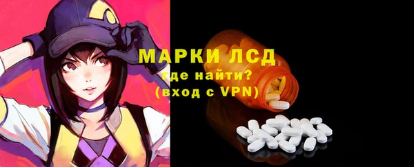 прущие грибы Магас
